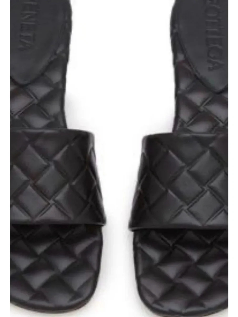 Bottega Veneta full inclusion